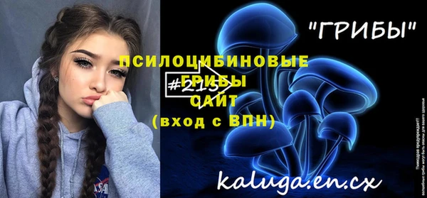 apvp Навашино